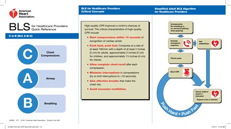 Pocket Reference For Bls Providers 3rd Edition
