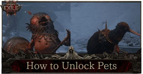 Poe Pets