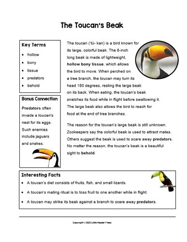 Poetry Comprehension Toucans Blog Poetry Comprehension Year 3 - Poetry Comprehension Year 3
