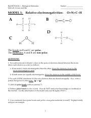 Pogil Biological Molecules Answer Key