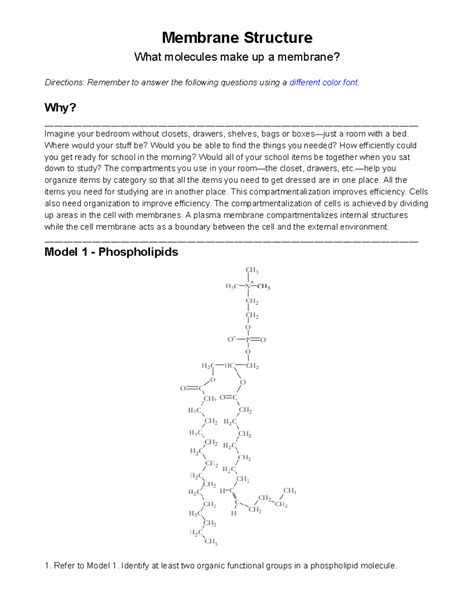 Pogil Membrane Structure And Function