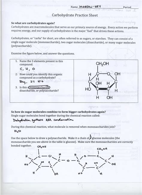 Read Pogil Biological Molecules Worksheet Answers 