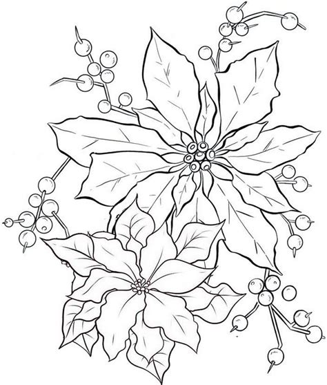 Poinsettia Coloring Pages The Perfect Poinsettia For Coloring Christmas Poinsettia Coloring Page - Christmas Poinsettia Coloring Page