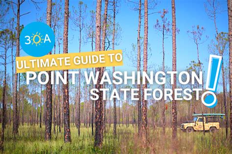 point washington state forest