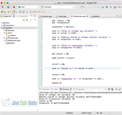 Pointers In Java
