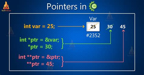 Pointers On C