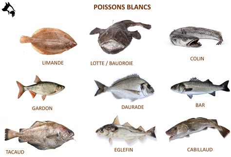 poissons les