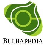 Pokemon Emerald Walkthrough Bulbapedia