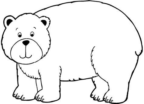 pola gambar beruang