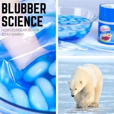 Polar Bear Bubble Experiment Little Bins For Little Flubber Science Experiment - Flubber Science Experiment