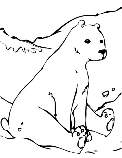 Polar Bear Coloring Pages At Getcolorings Com Free Polar Bear Pictures To Colour - Polar Bear Pictures To Colour