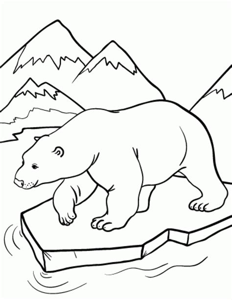 Polar Bear Coloring Pages Everfreecoloring Com Polar Bear Pictures To Colour - Polar Bear Pictures To Colour