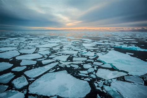 Polar Research Deep Frozen Science Nature Frozen Science - Frozen Science