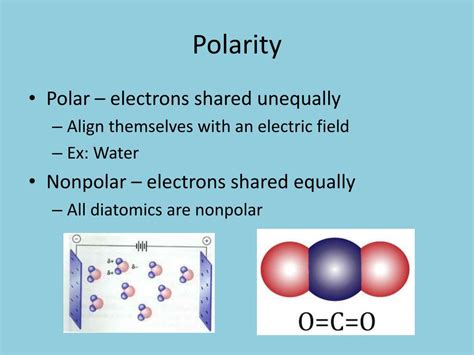 polarity Definition & Examples Britannica