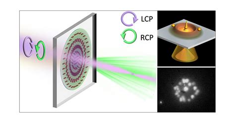 Polarization Sensitive Plasmonic Particles
