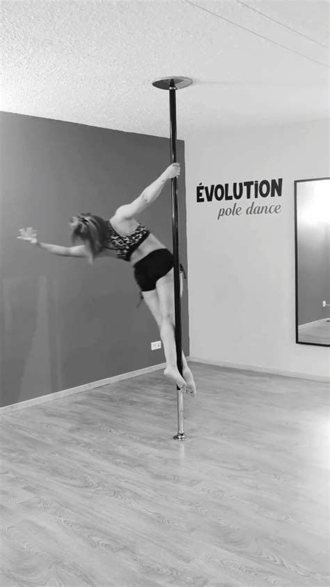 pole dance evolution pole dance gift lined notebo