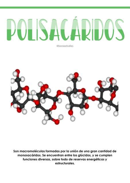 polisacaridos - crosser 2015