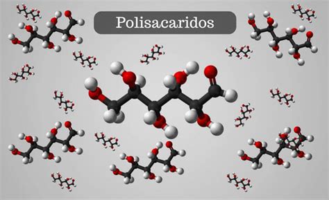 polisacáridos - nuvel protector solar