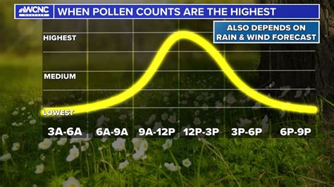 From pollen counts to other allergy news 