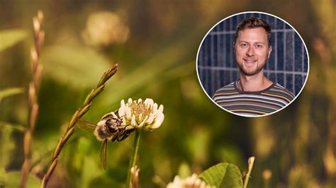 pollenallergi ont i svalget