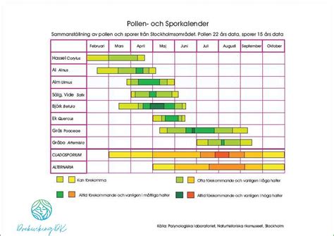 pollenallergi småbarn