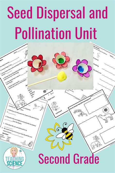 Pollination Amp Seed Dispersal 2nd Grade Science Ngss Seed Dispersal Worksheet 2nd Grade - Seed Dispersal Worksheet 2nd Grade