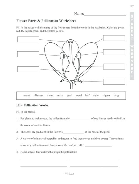 Pollination In Plants Worksheet Primary Resource Twinkl Pollination Worksheet 7th Grade - Pollination Worksheet 7th Grade