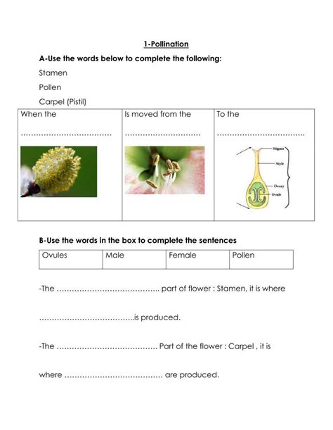 Pollination Interactive Activity Live Worksheets Pollination Worksheet 7th Grade - Pollination Worksheet 7th Grade