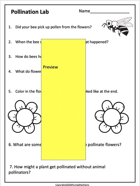 Pollination Lesson Plan 2nd Grade   2nd Grade Life Science Activities Carly And Adam - Pollination Lesson Plan 2nd Grade