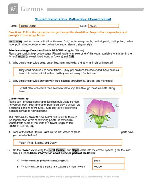 Read Pollination Flower To Fruit Gizmo Answers 