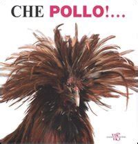 Download Pollo Tacchino Co Ediz Illustrata 