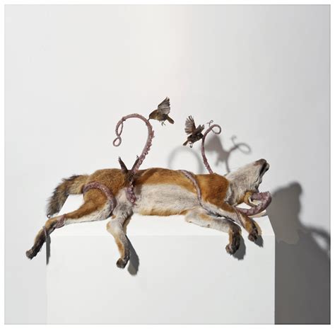 polly morgan biography