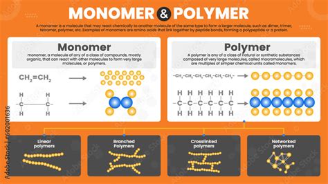 polymer explanation