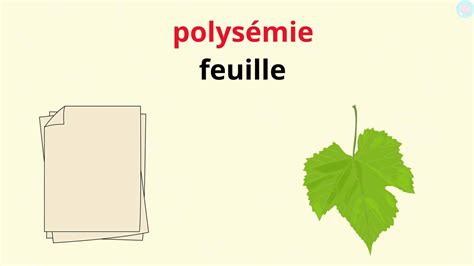 polysemie