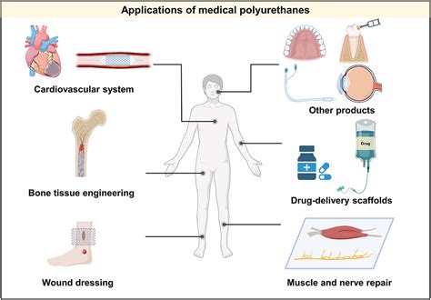 Polyurethanes In Biomedical Applications