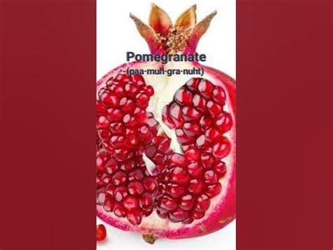 pomegranate vertaling