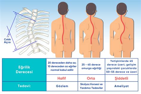 codini.rgarabwor.edu.pl. 