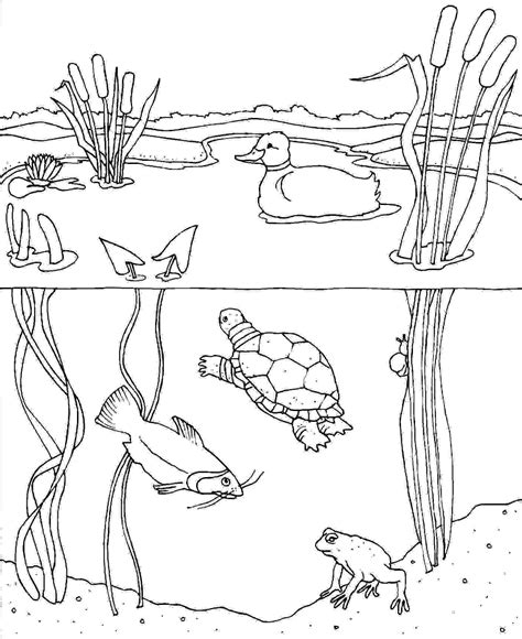 Pond Animals Coloring Page Free Printable Coloring Pages Pond Life Coloring Page - Pond Life Coloring Page