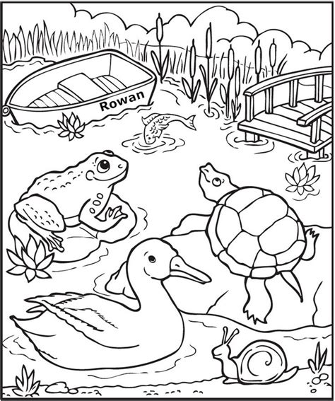 Pond Animals Coloring Pages Free Amp Printable Pond Life Coloring Page - Pond Life Coloring Page