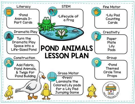Pond Animals Lesson For Kindergarten With Free Worksheets Pond Life Worksheet - Pond Life Worksheet