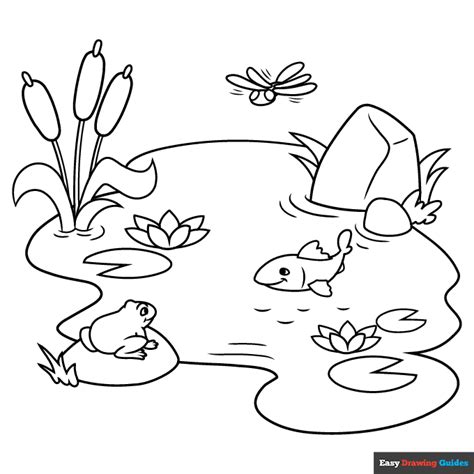 Pond Life Coloring Page   Pond Coloring Pages Free Printable Coloring Pages - Pond Life Coloring Page