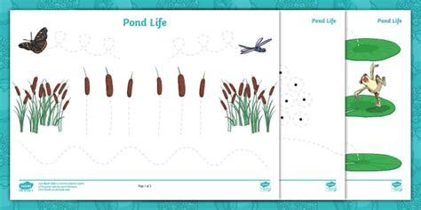 Pond Life Pencil Control Sheets Teacher Made Twinkl Pond Life Worksheet - Pond Life Worksheet
