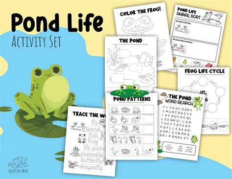 Pond Life Worksheets Learny Kids Pond Life Worksheet - Pond Life Worksheet