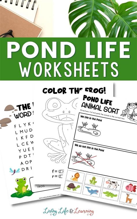Pond Life Worksheets Living Life And Learning Pond Life Worksheet - Pond Life Worksheet