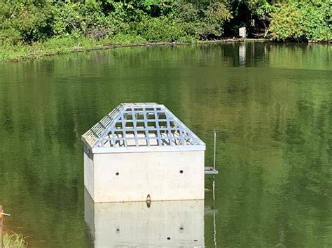 pond trash rack