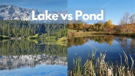 Pond Vs Lake