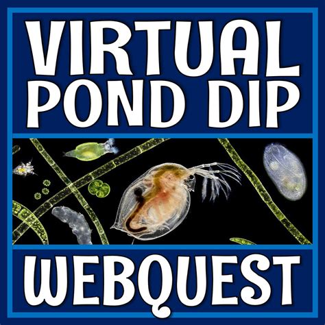 pond water webquest answer key