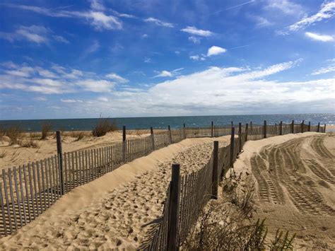 poodle beach delaware