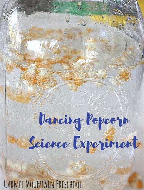 Popcorn Science Experiment For 1st Grade Kids Play Popcorn Science - Popcorn Science
