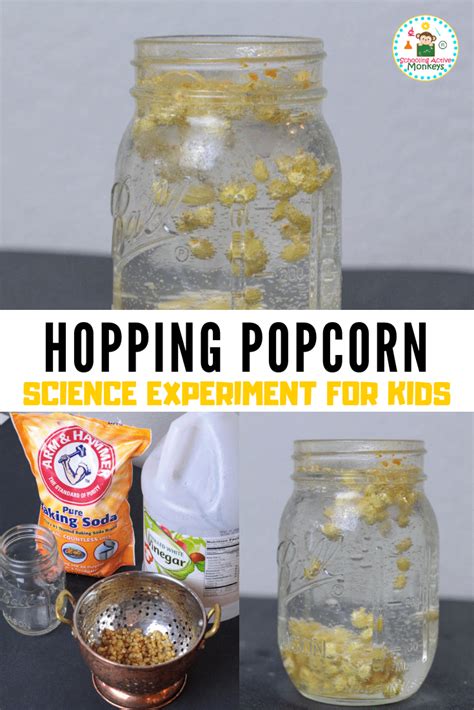 Popcorn Science Experiment   Popcorn Science Education World - Popcorn Science Experiment